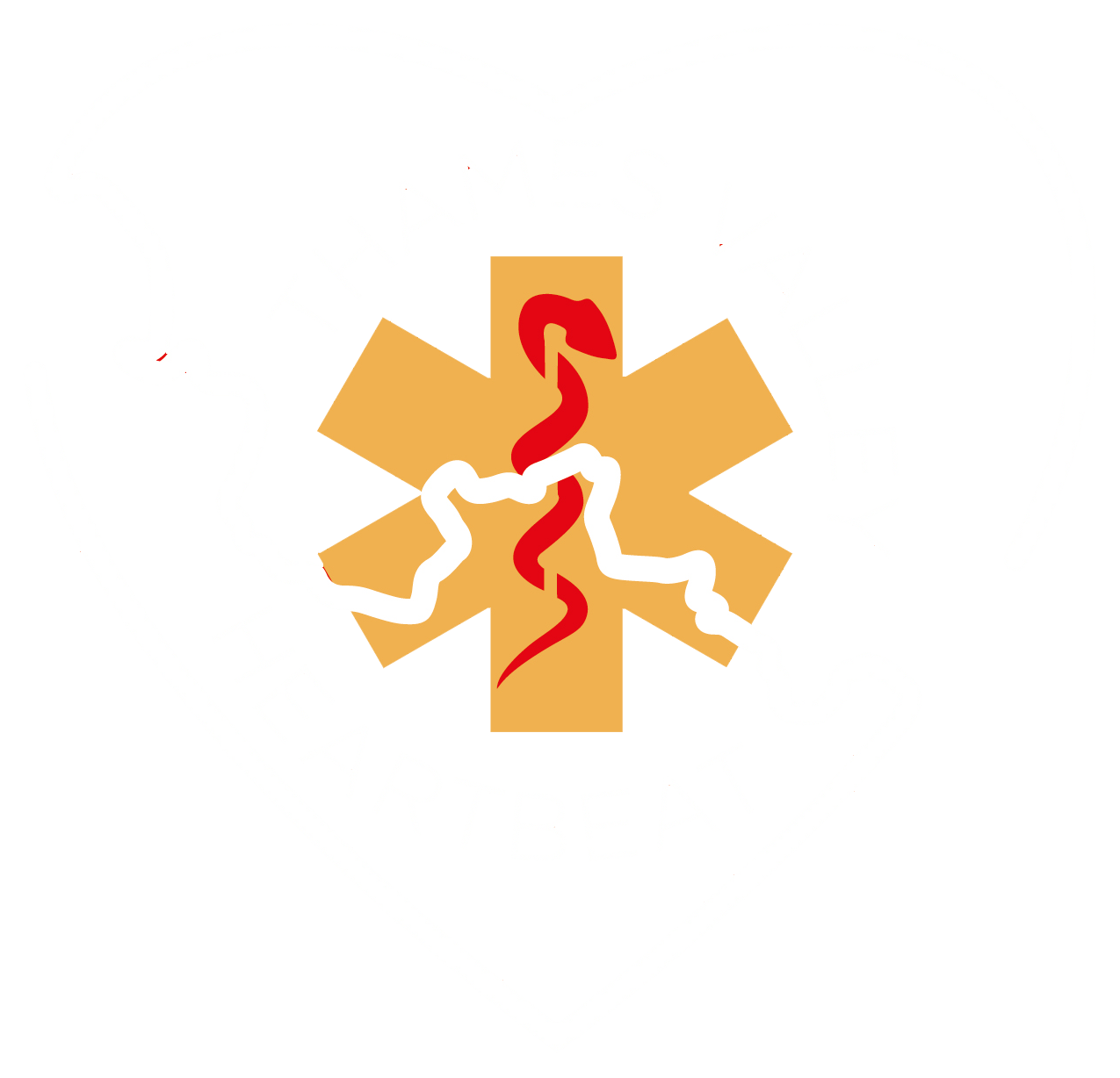 Thames Valley Heartbeat logo